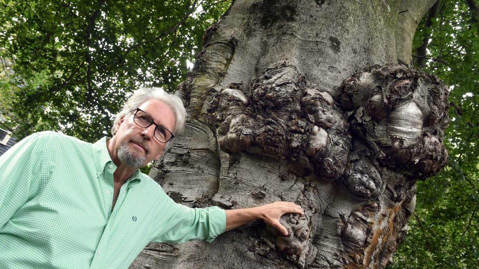 Picture of Steve Hamm touching a large tree